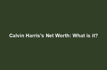 Calvin Harris's Net Worth: What is it?